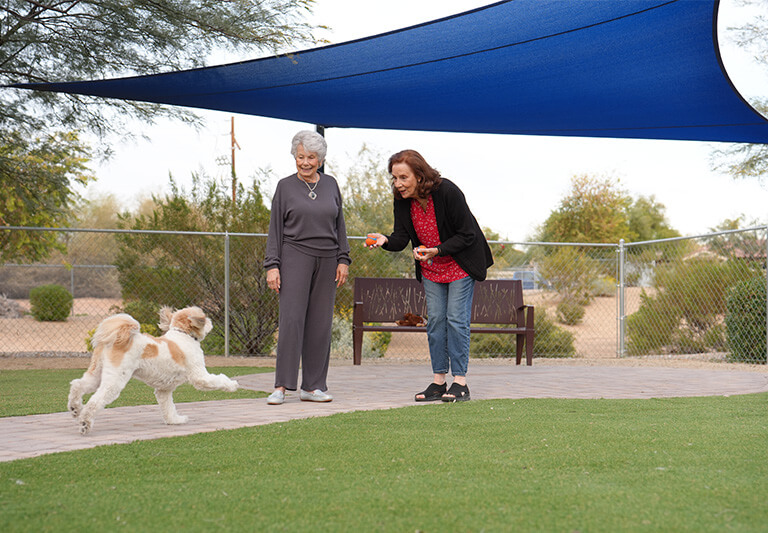 Two women and a dog playing outside under a blue canopy in a community garden.