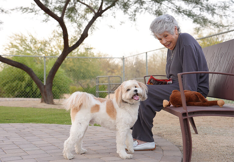 Elderly woman on a bench smiling at a small dog outdoors by a tree.
