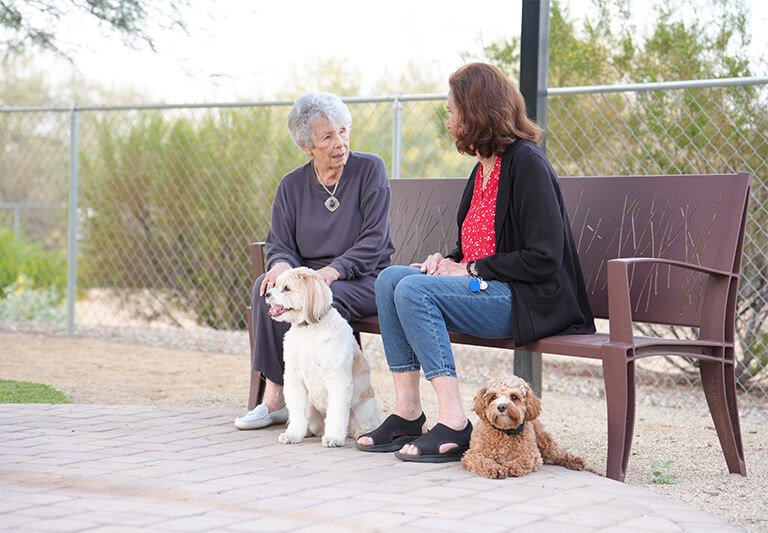 Two women sitting on a bench in a garden with two small dogs by their feet.